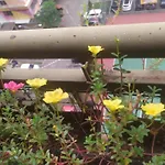 Tiny Studio With Pool, Jogging Track, Gym And Mall