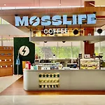 Cordela Senen Jakarta