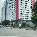 Dlp Green Pramuka