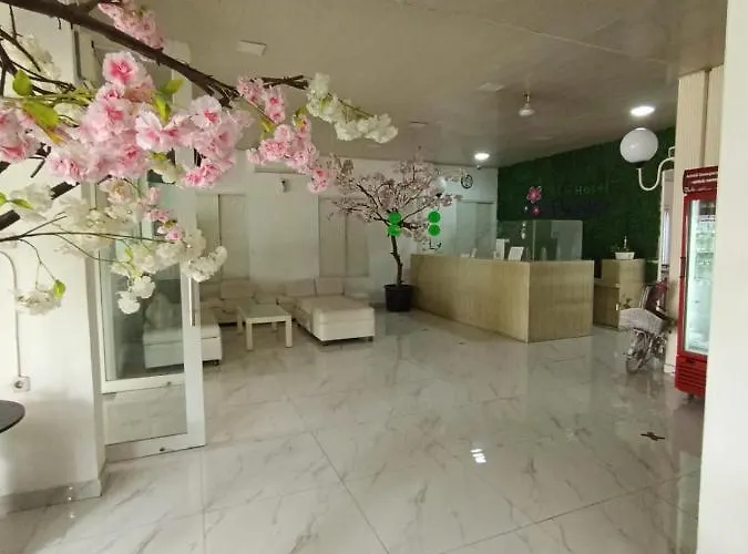 Hotel Aleander