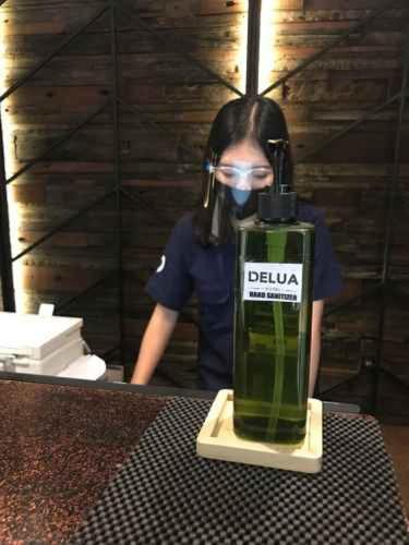 Hotel Delua