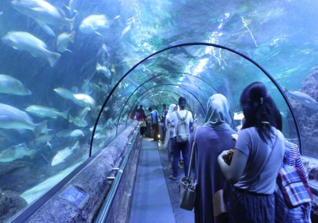 Susilo 10 * Jakarta