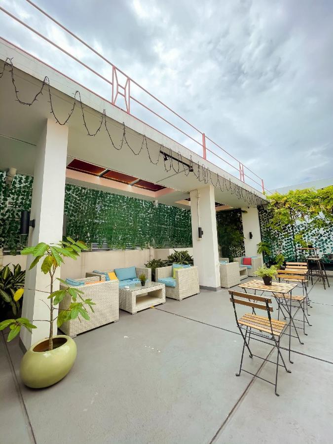Hotel White Tree