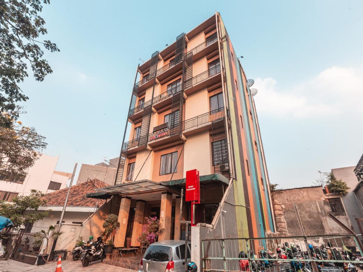 Celvasha Hotel