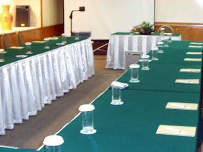Treva International Hotel