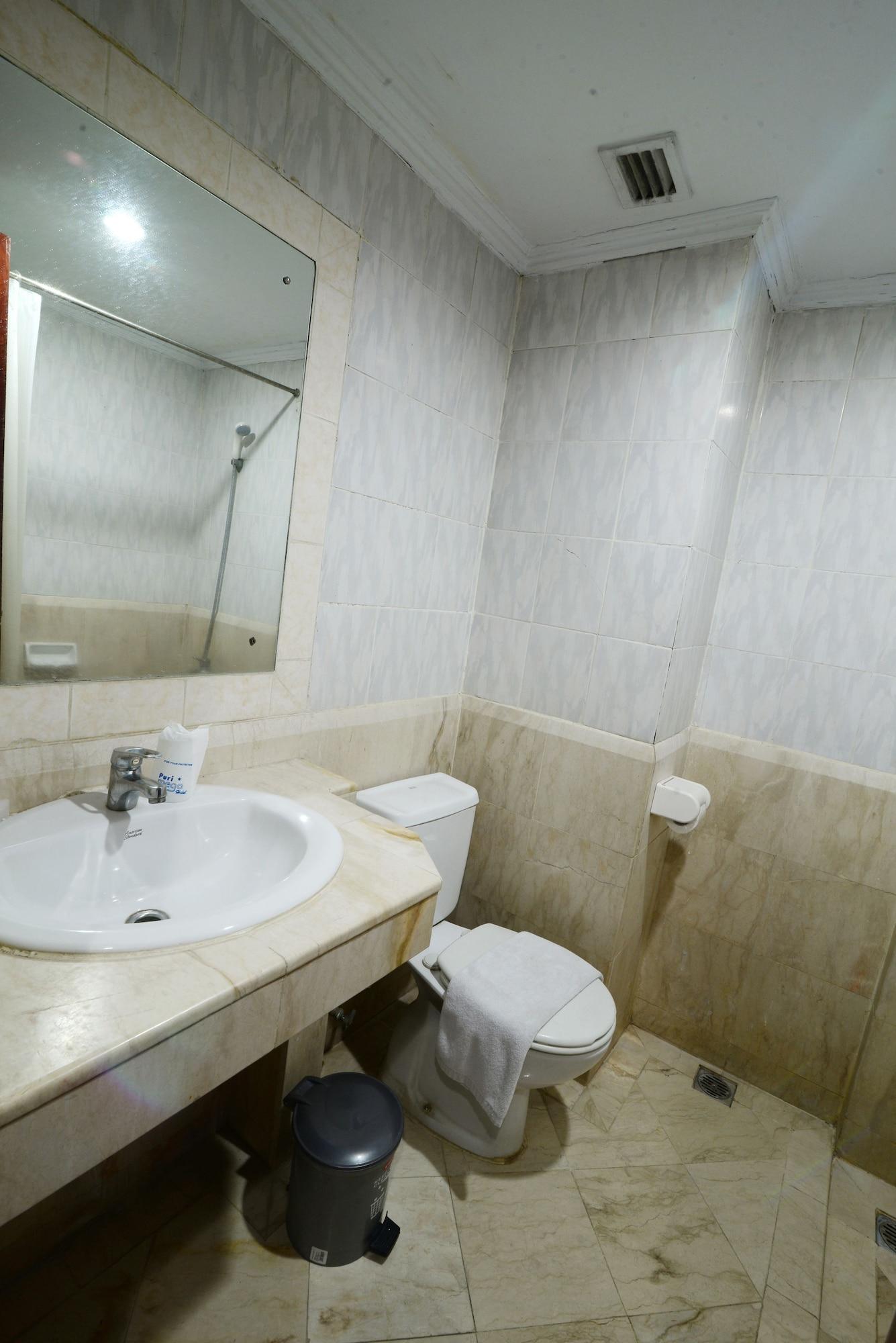 Puri Mega Hotel 3*