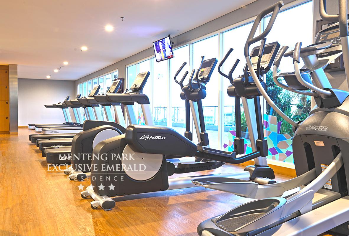 Apartment Menteng Park Exclusive Emerald