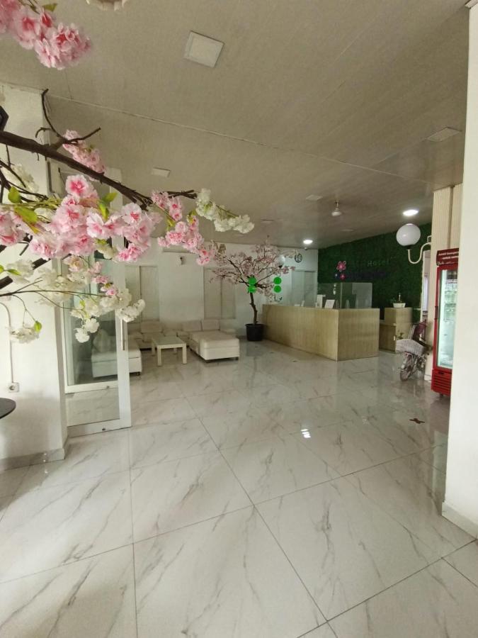 Aleander Hotel