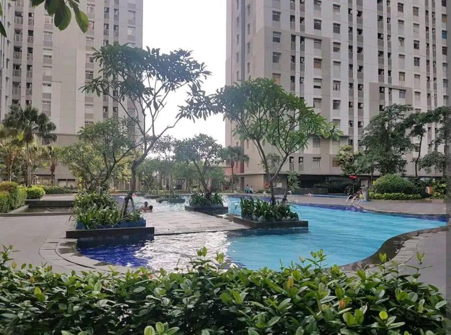2 Bedroom Sea View 2 Big Bed 1 Sofa Bed Internet Kitchen
