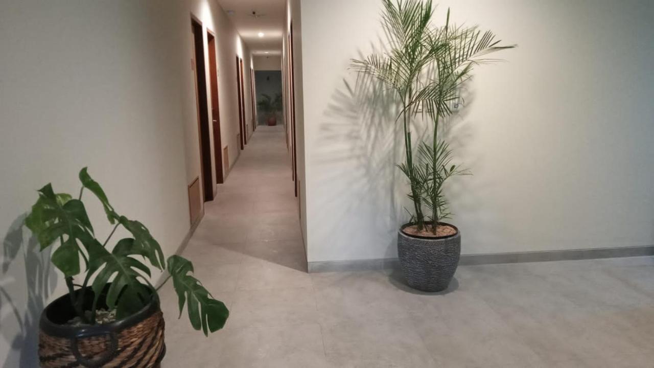 Casa Calma 2*