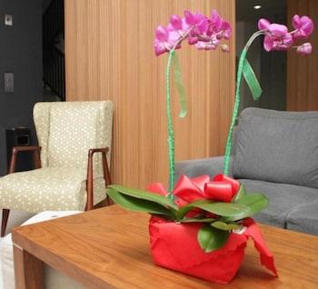 Hotel M 3*