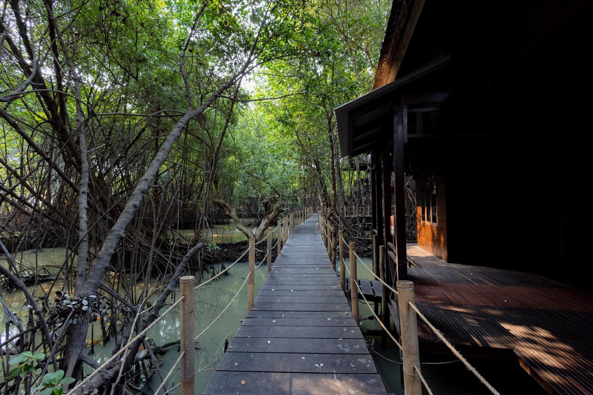 Rumah tetamu Reddoorz @ Taman Wisata Mangrove Jakarta