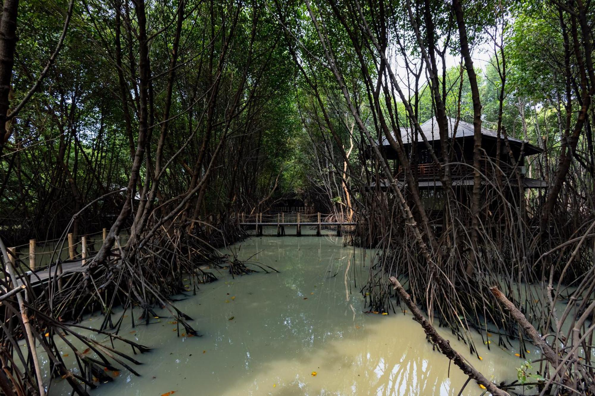 Rumah tetamu Reddoorz @ Taman Wisata Mangrove 3*