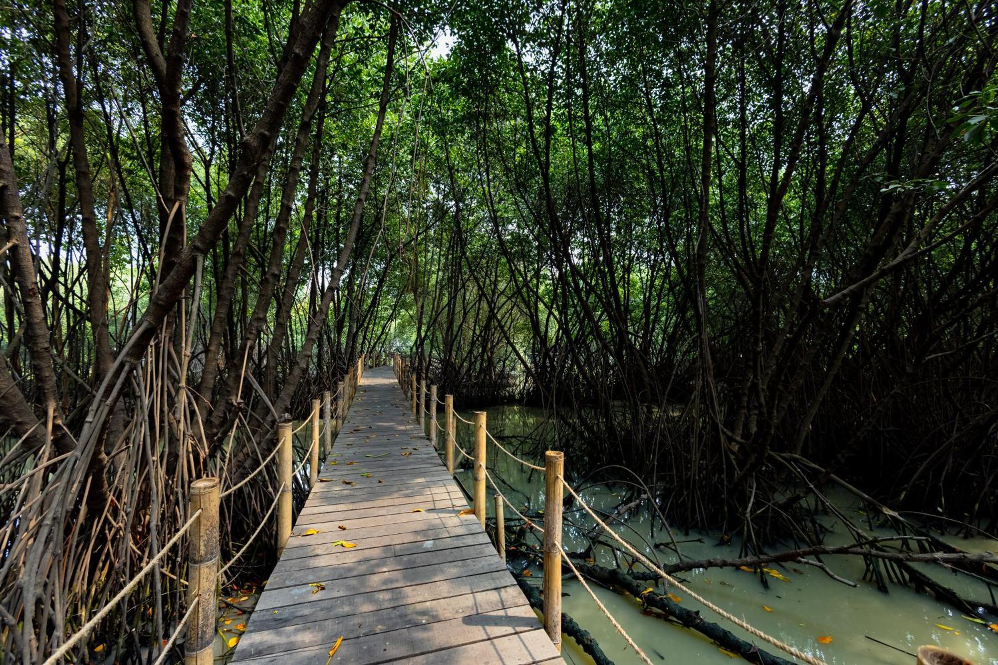 Reddoorz @ Taman Wisata Mangrove