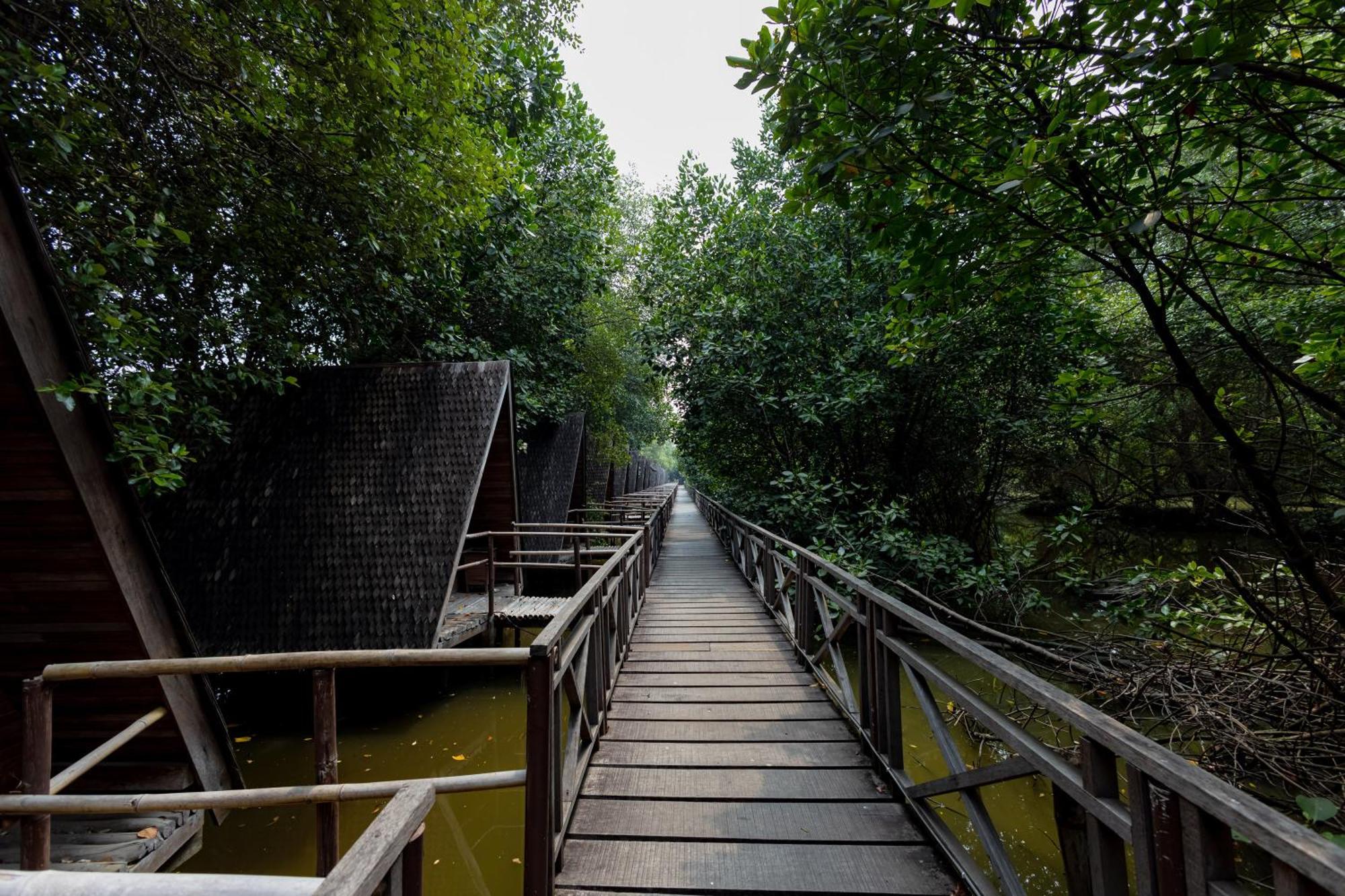 Reddoorz @ Taman Wisata Mangrove Rumah tetamu Jakarta