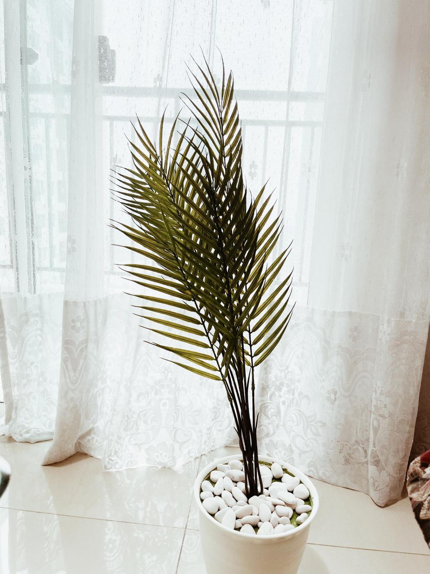 Urban Oasis Premium Staycation In Central Appartement *