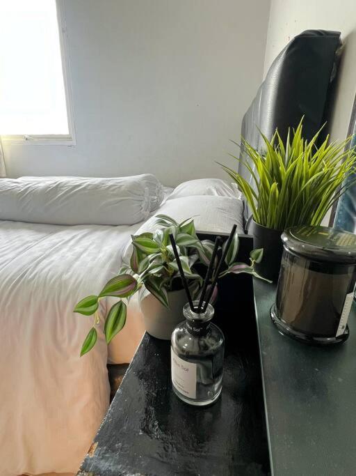Cozy * Jakarta