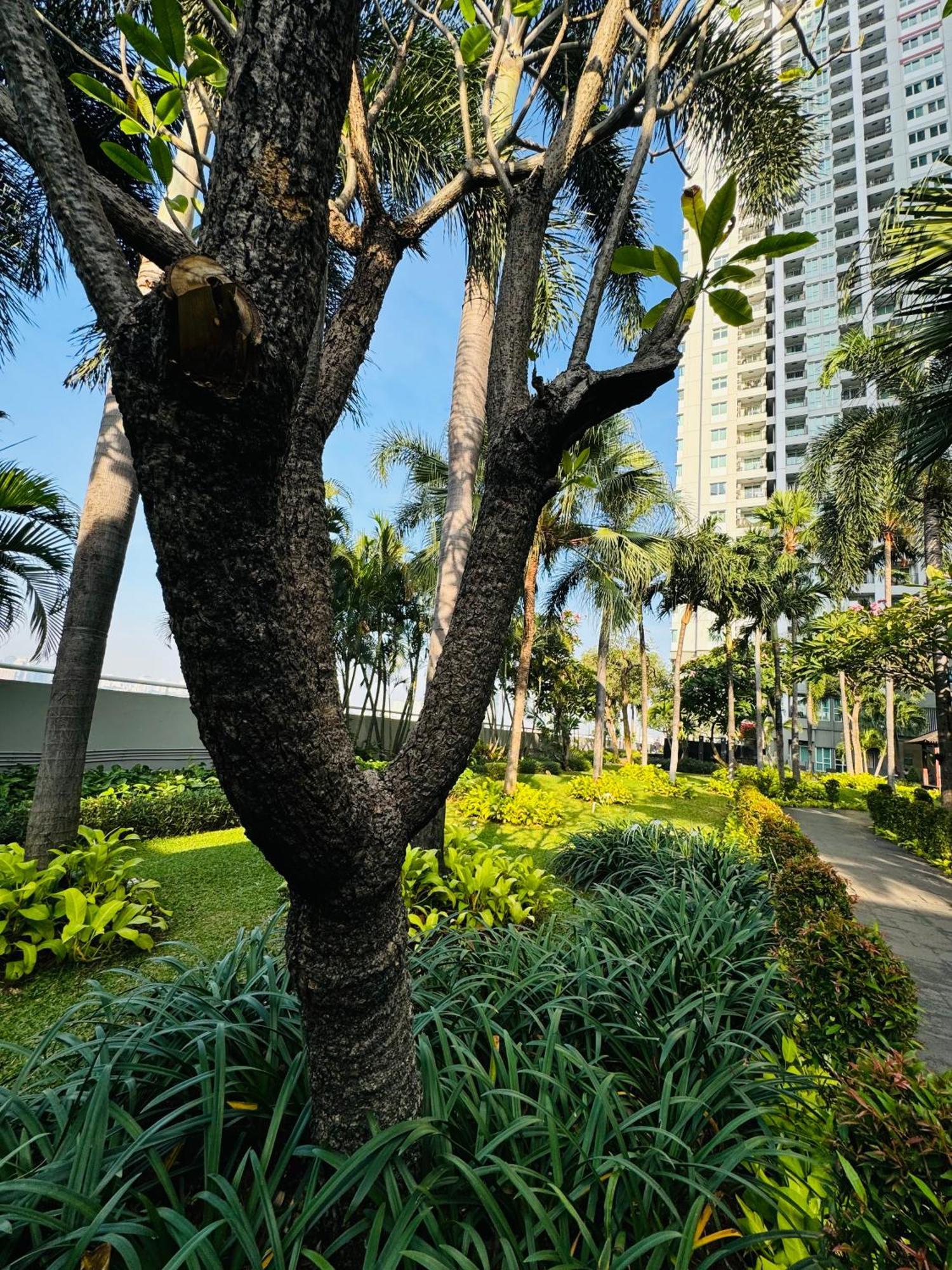 Stunning Comfy Spacious At The Heart Of Apartment *