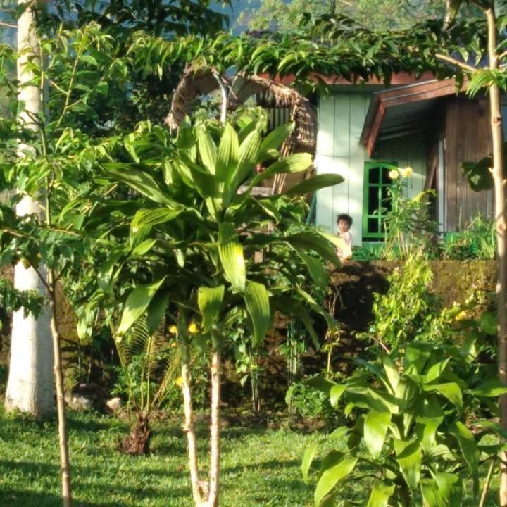 Karleta Homestay Jakarta