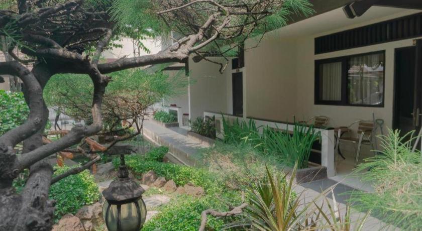 D'Arcici Hotel Plumpang Hotel