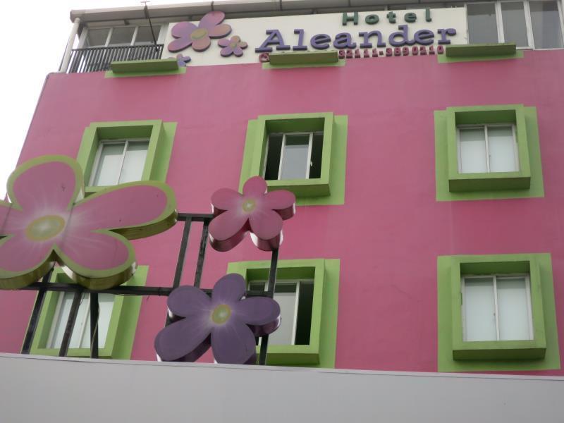 Capital O 4002 Aleander 2*