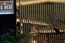 Hotel Oak Tree Mahakam 3*