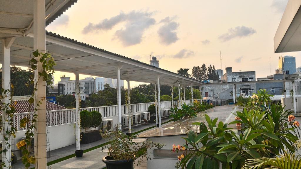 Rufia Guest house *