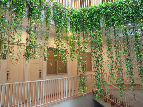 Wisma tamu Legreen Penjernihan *