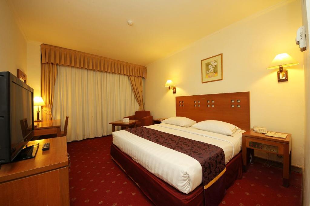Hotel Maharani 3*