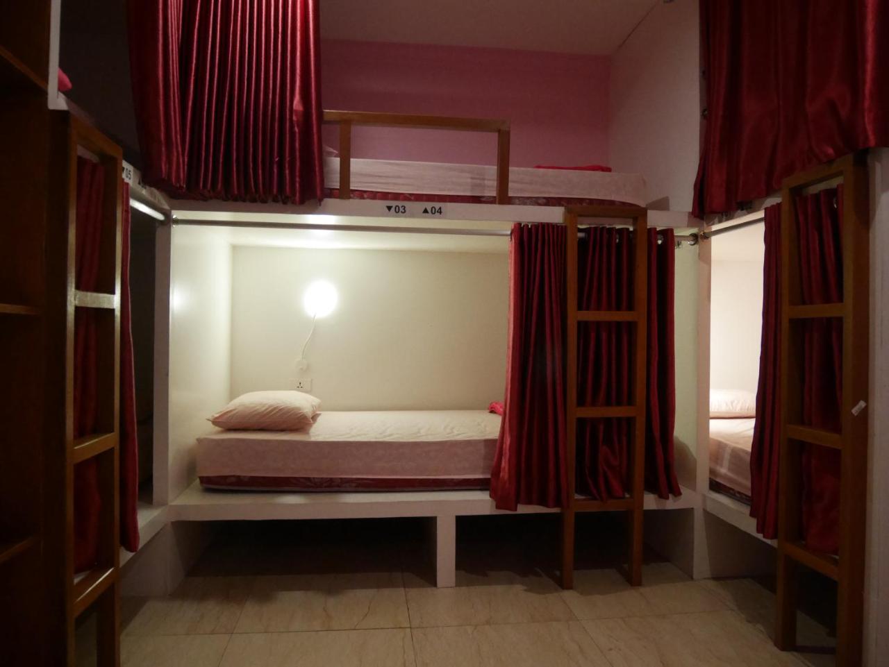 Sleepy Raccoon Hostel *