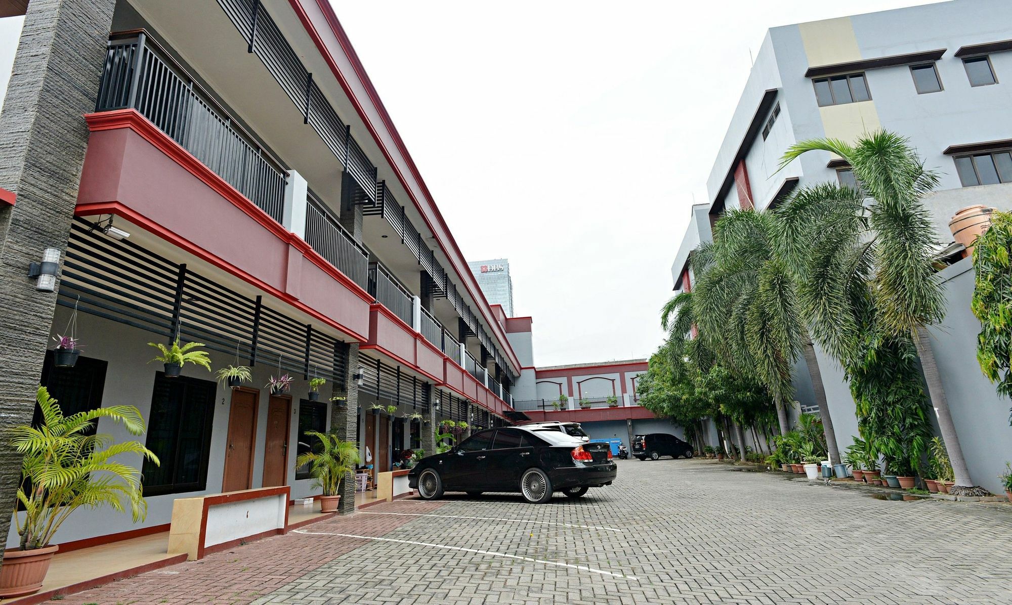 Zen Kuningan Tiong