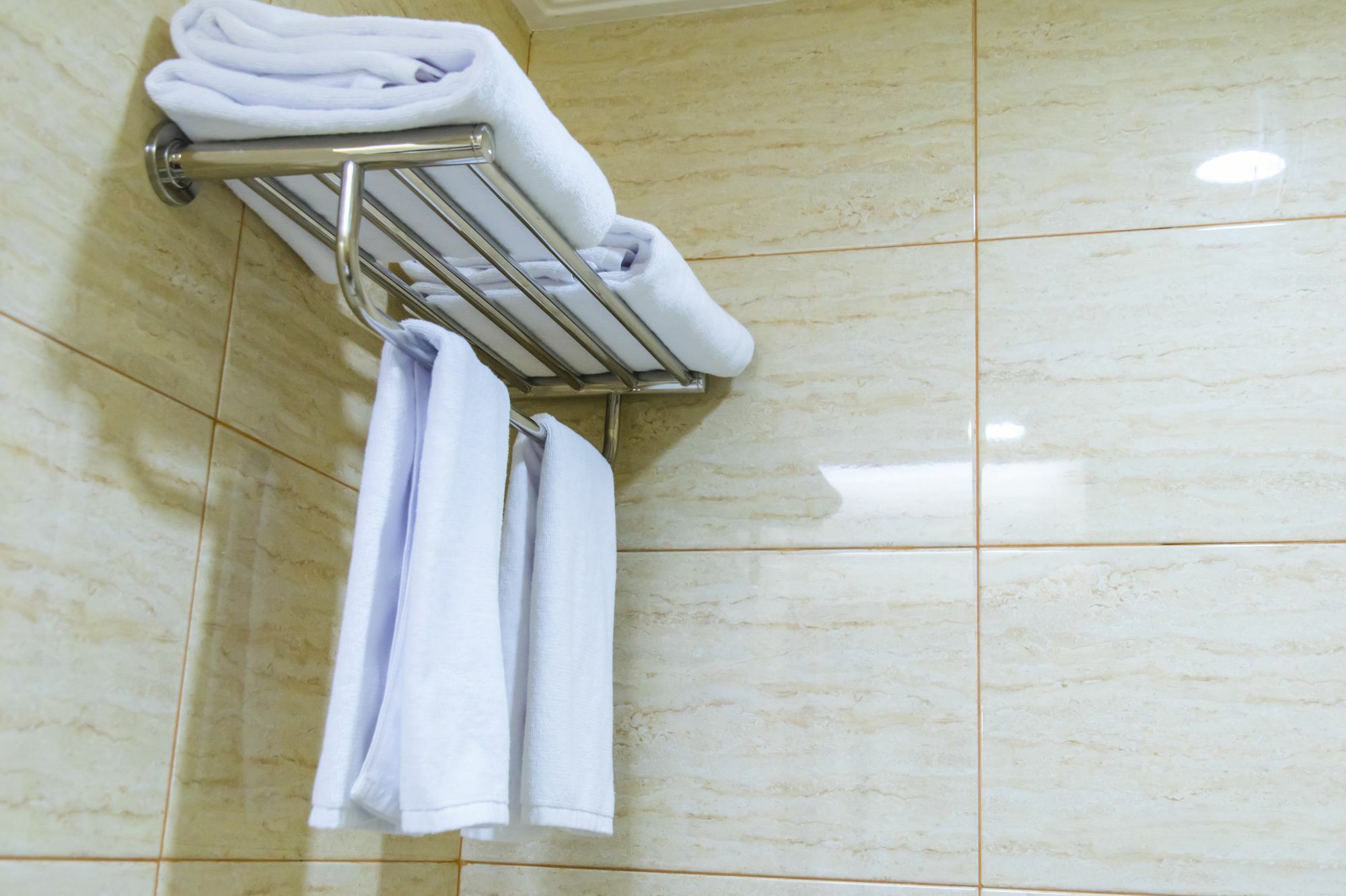 Hotel Dharmein 3*