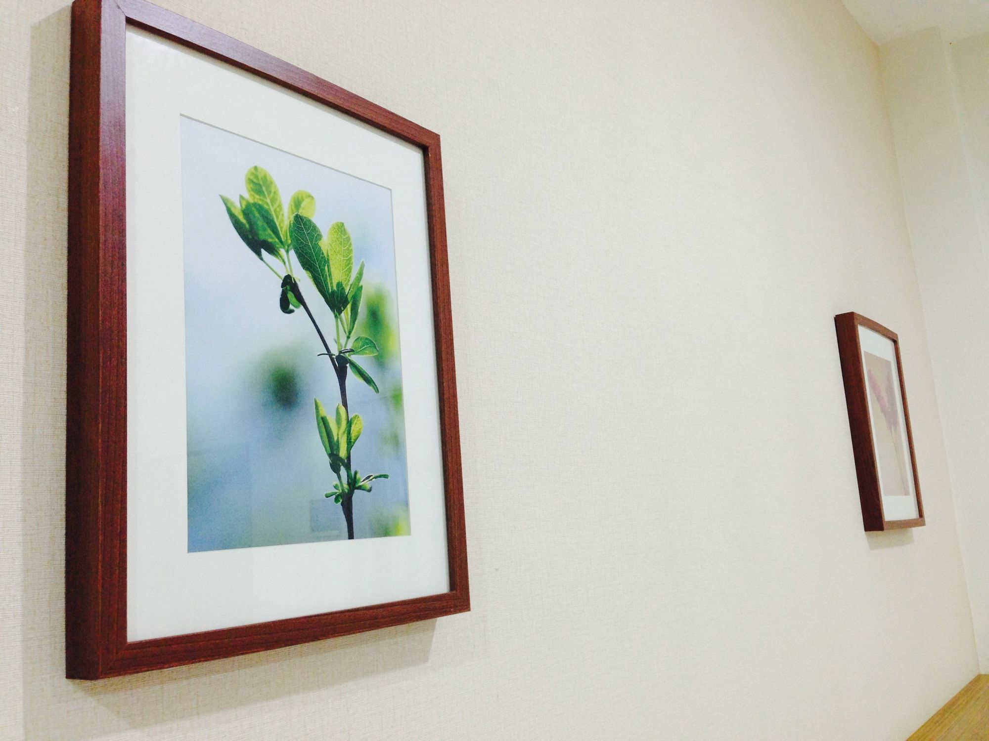 Menteng House 2*