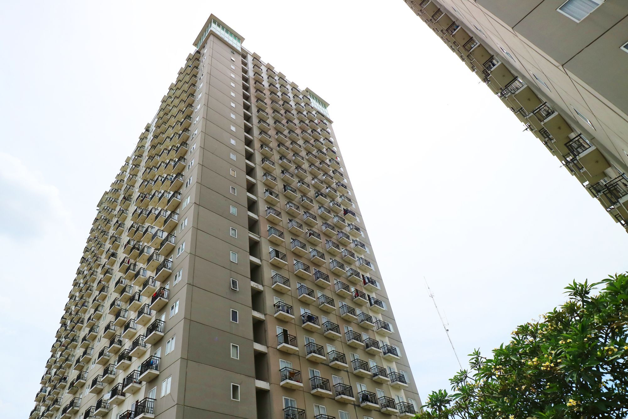 Adaru * Jakarta