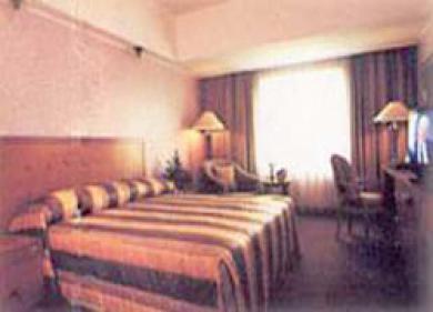 Hotel Treva International 3*