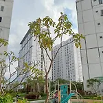 King\'S Property