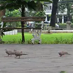 Hotel Cantik Syari