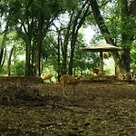 Arimbi Pejaten Suites