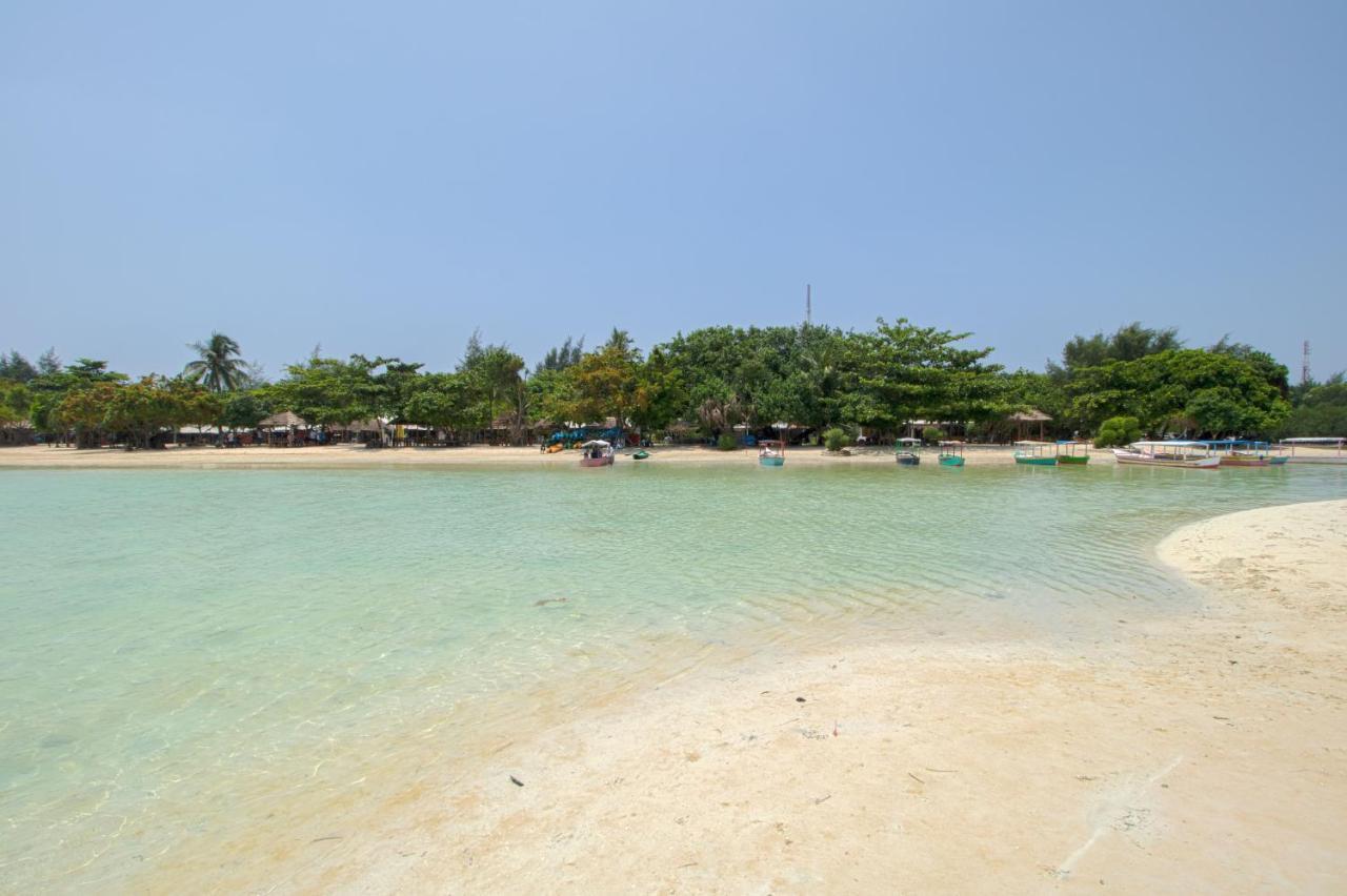 Guerilla Dive Pulau Pari * Jakarta