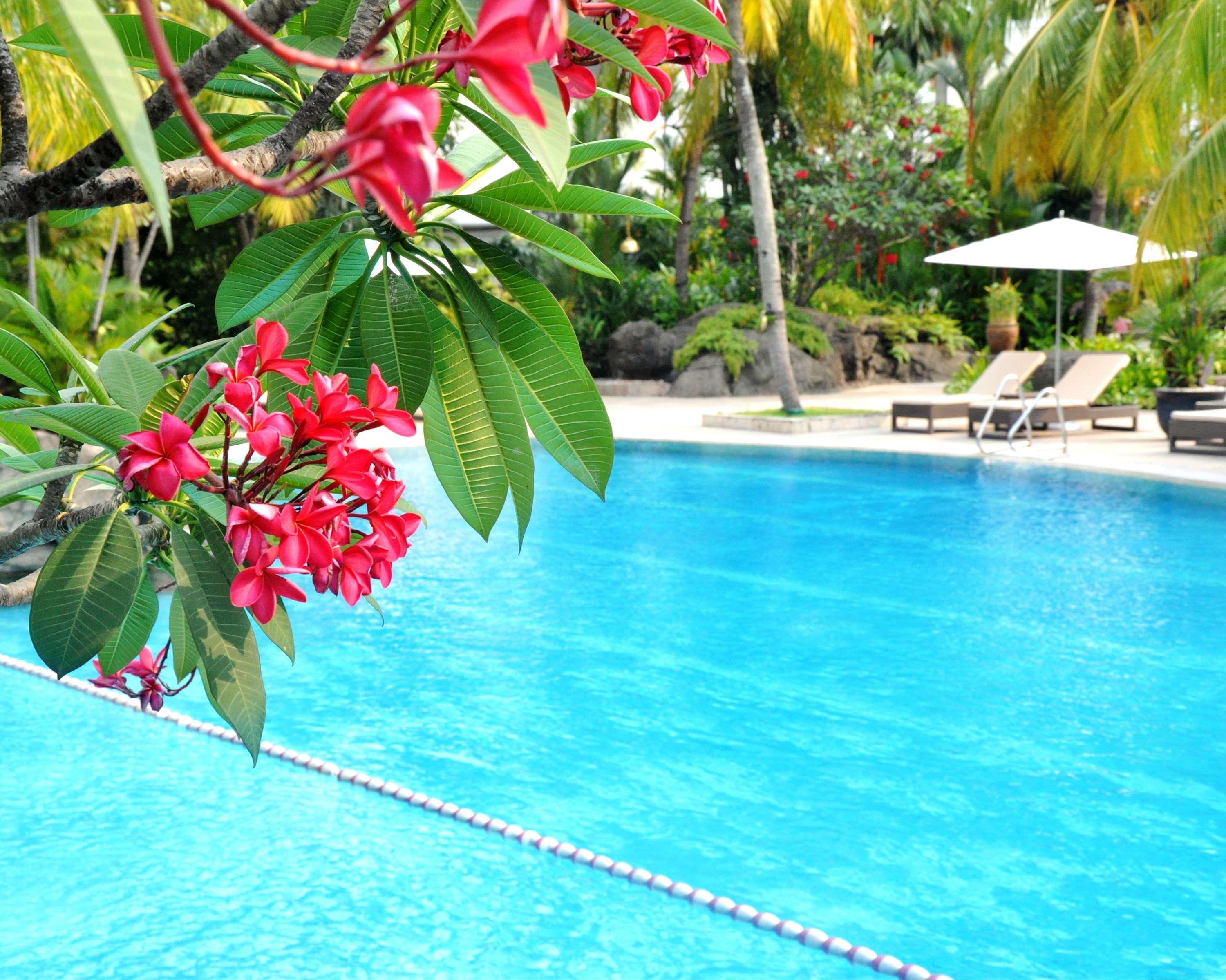 Grand Hyatt Jakarta