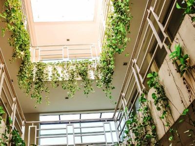 Guest house Legreen Tondano Jakarta