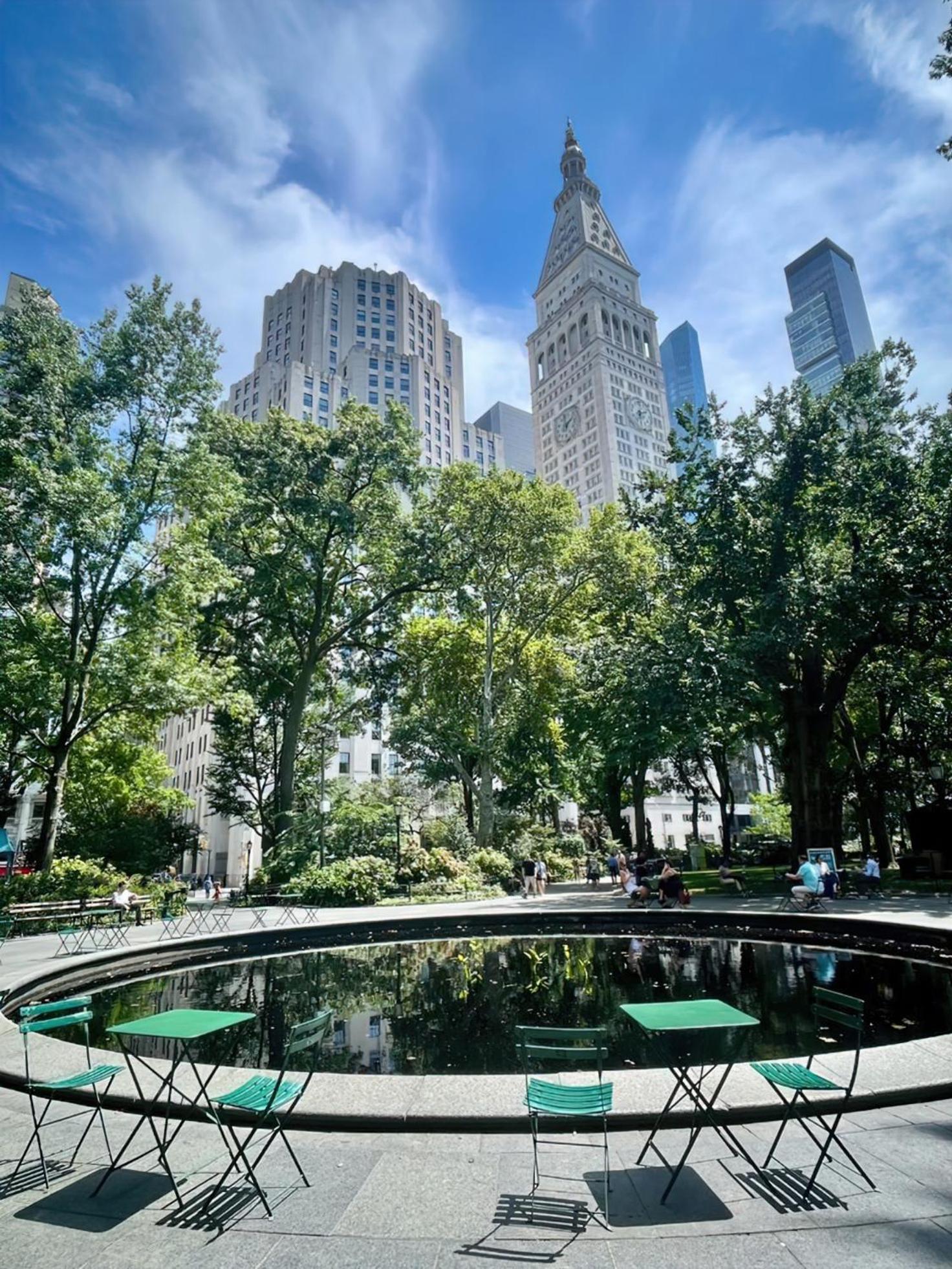 Salute De Madison Park *
