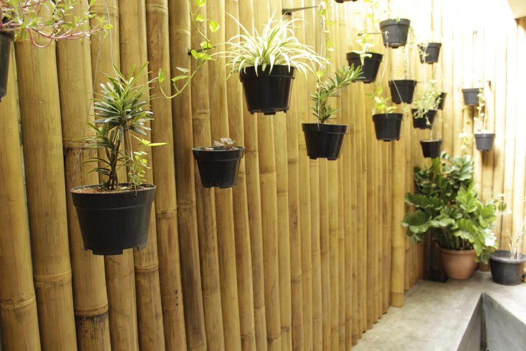 Hostel Teduh Kota Tua