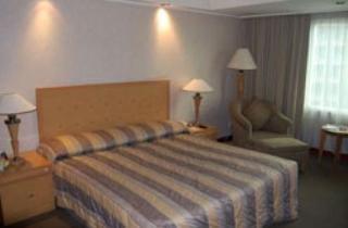 Treva International 3*
