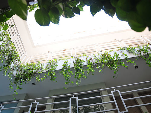 Guest house Legreen Tondano Jakarta