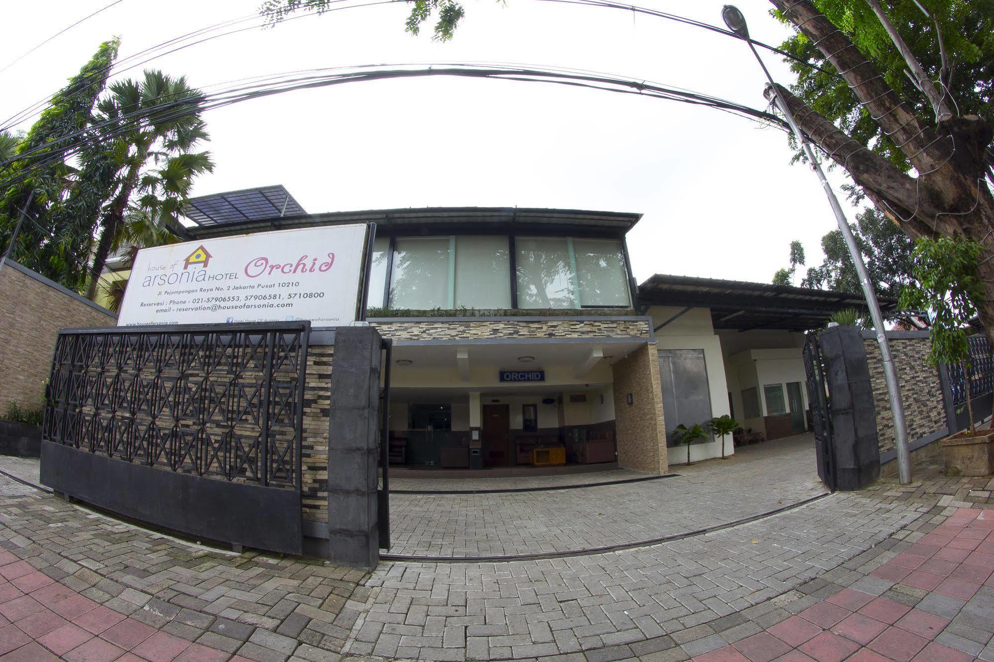 House Of Arsonia Orchid