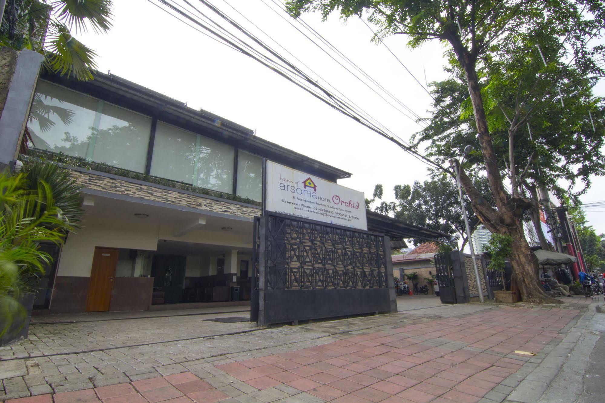 House Of Arsonia Orchid * Jakarta