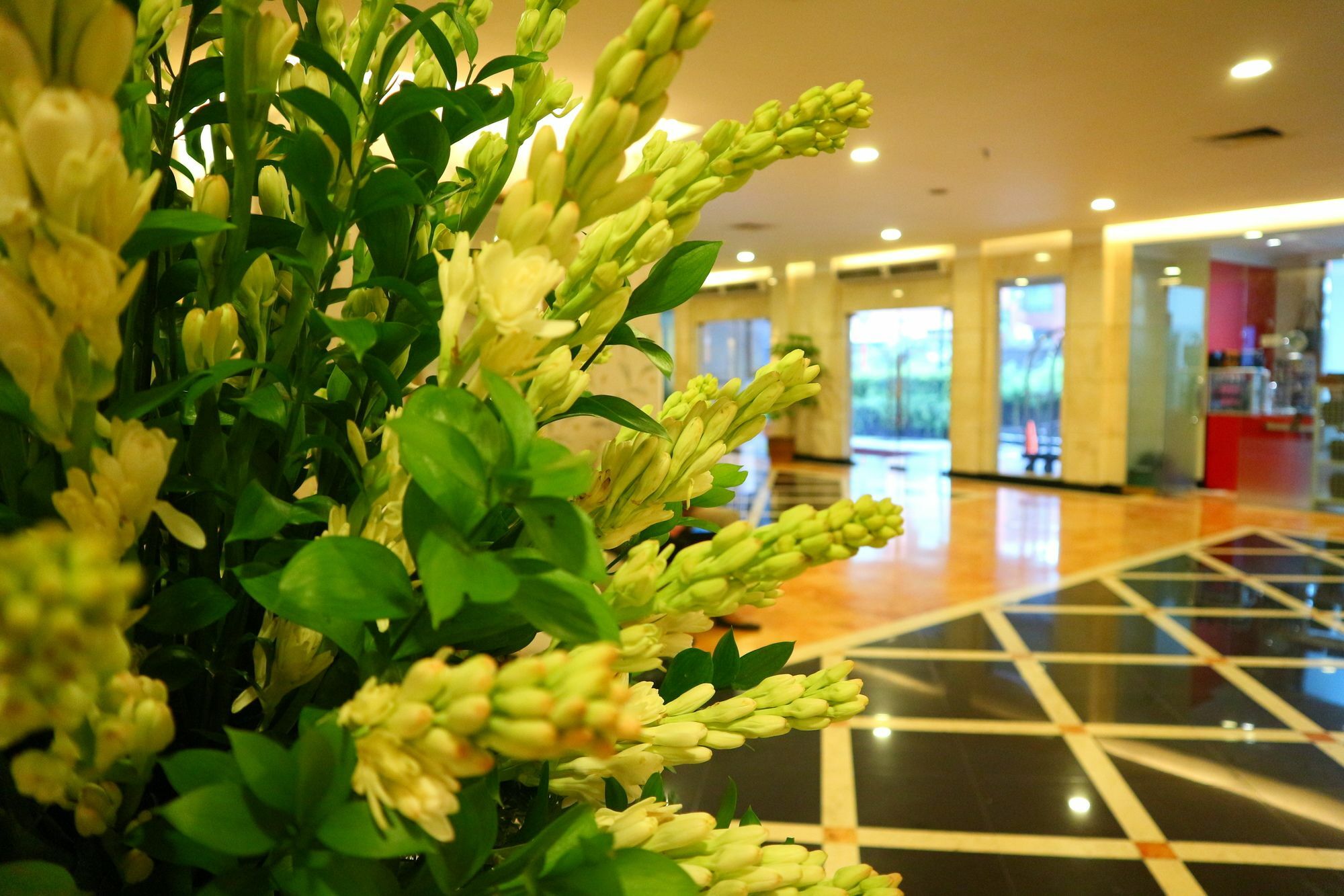 Horison Arcadia Mangga Dua Hotel 4*