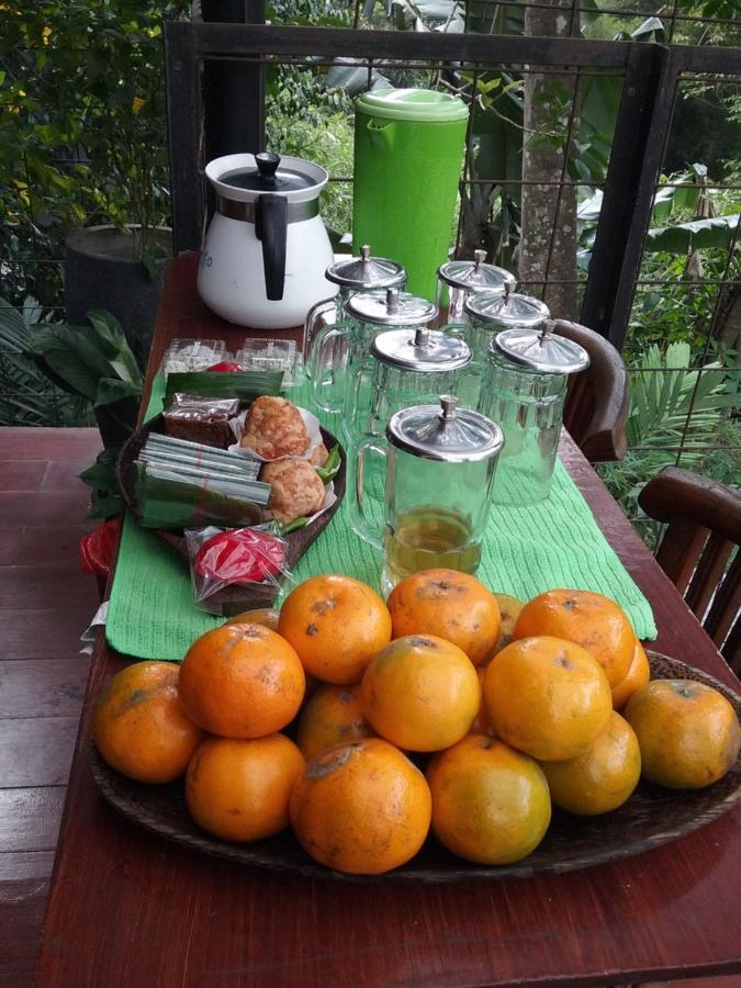 Nila House, Sharia Family Guest house Jakarta