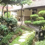 D\'Arcici Plumpang